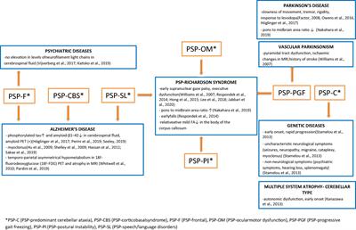 Differential Diagnosis of Rare Subtypes of Progressive Supranuclear Palsy and PSP-Like Syndromes—Infrequent Manifestations of the Most Common Form of Atypical Parkinsonism